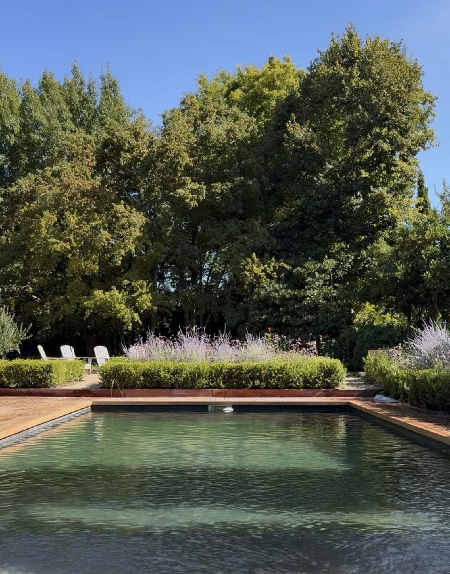 GreenStone — Estudio NRV